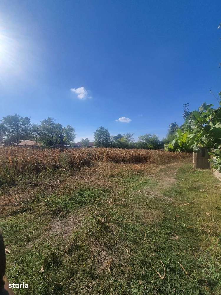 Casa + teren 1.973 mp V. Pasii Scurtesti ! - Imagine principală: 5/8