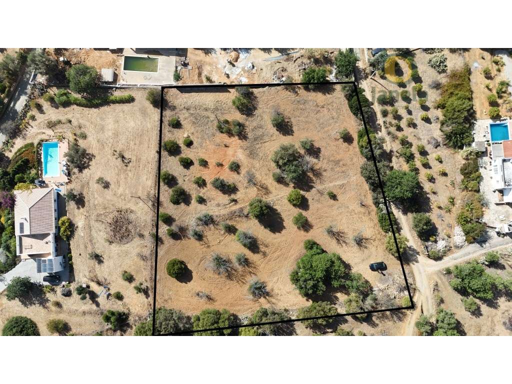 Terreno Rústico- 4.000 m² de Tranquilidade e Natureza - Grande imagem: 4/18