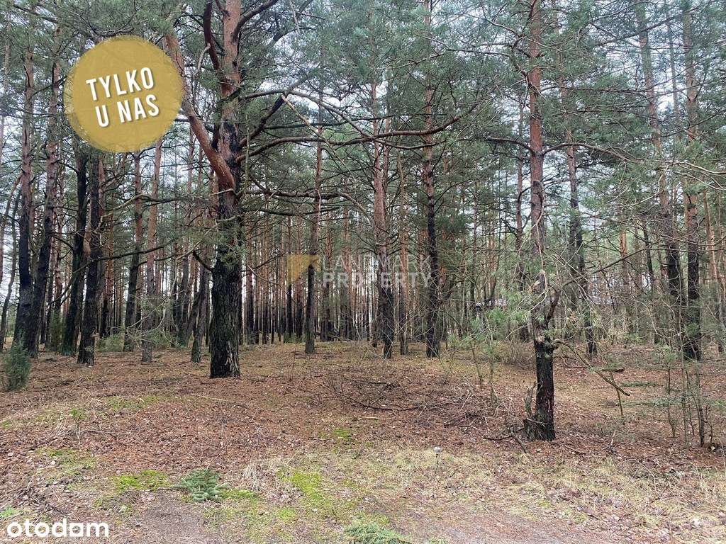 Zalesiona działka z mpzp | zabudowa jednorodzinna-0