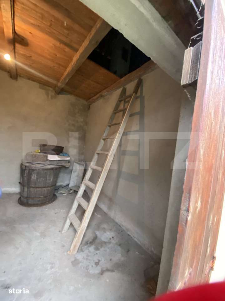 Casa cu anexe si 40 ari de gradina - Imagine principală: 5/13