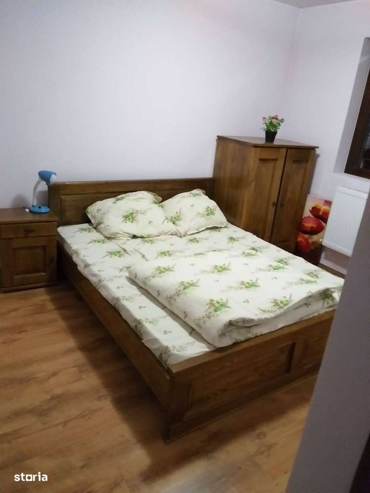 Cabana Colibita - 12 camere baie proprie - 550mp-4