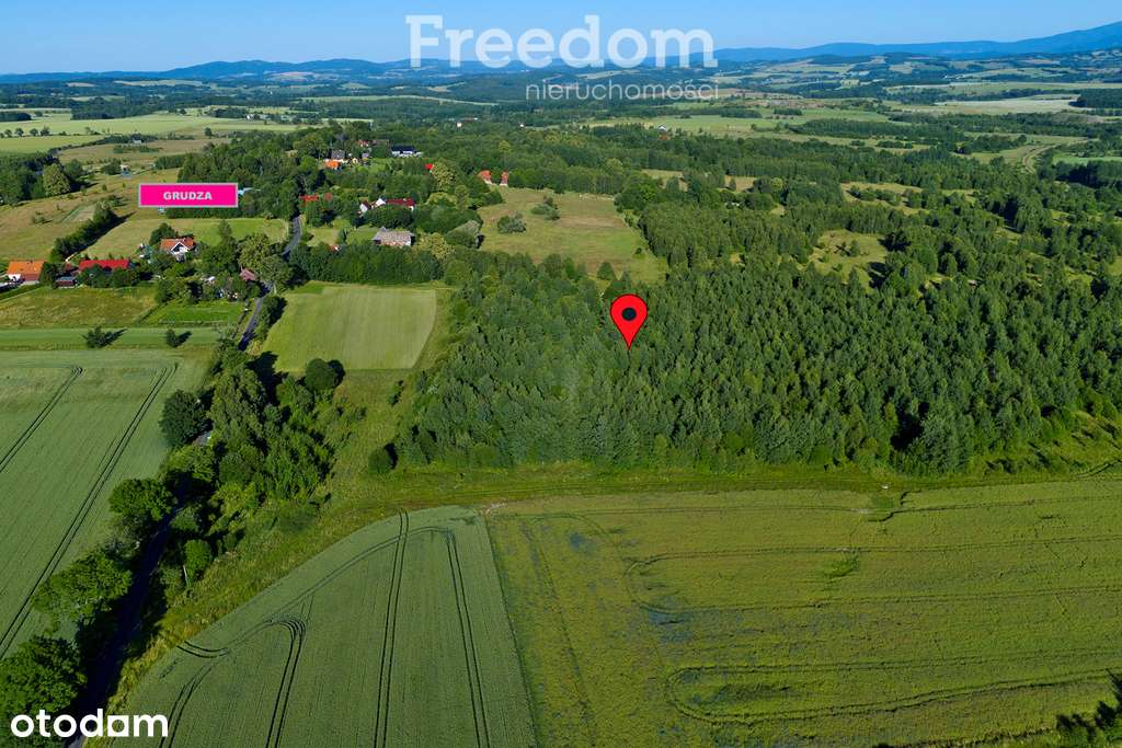 Urocza działka z warunkami zabudowy! - Pełny obrazek: 4/5