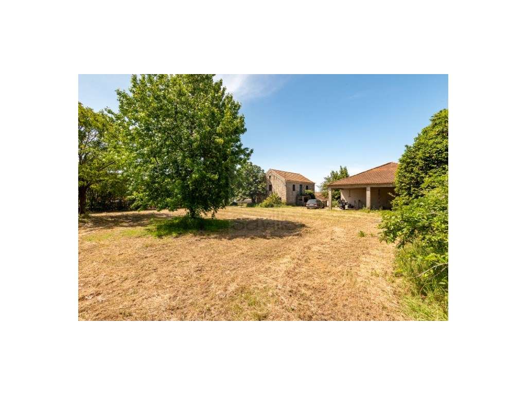 Quintinha para venda na Maia - Grande imagem: 5/30