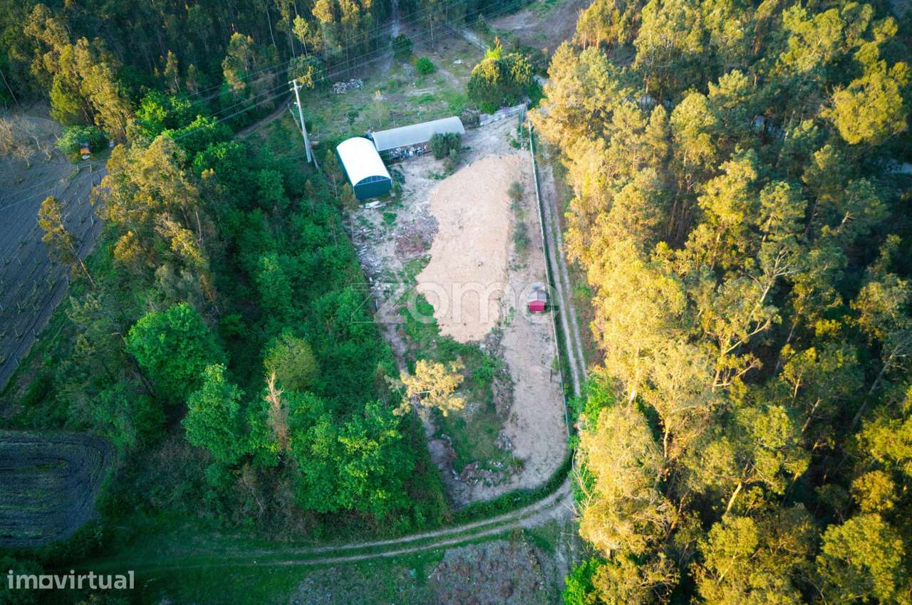 Terreno agrícola em Fragoso-12