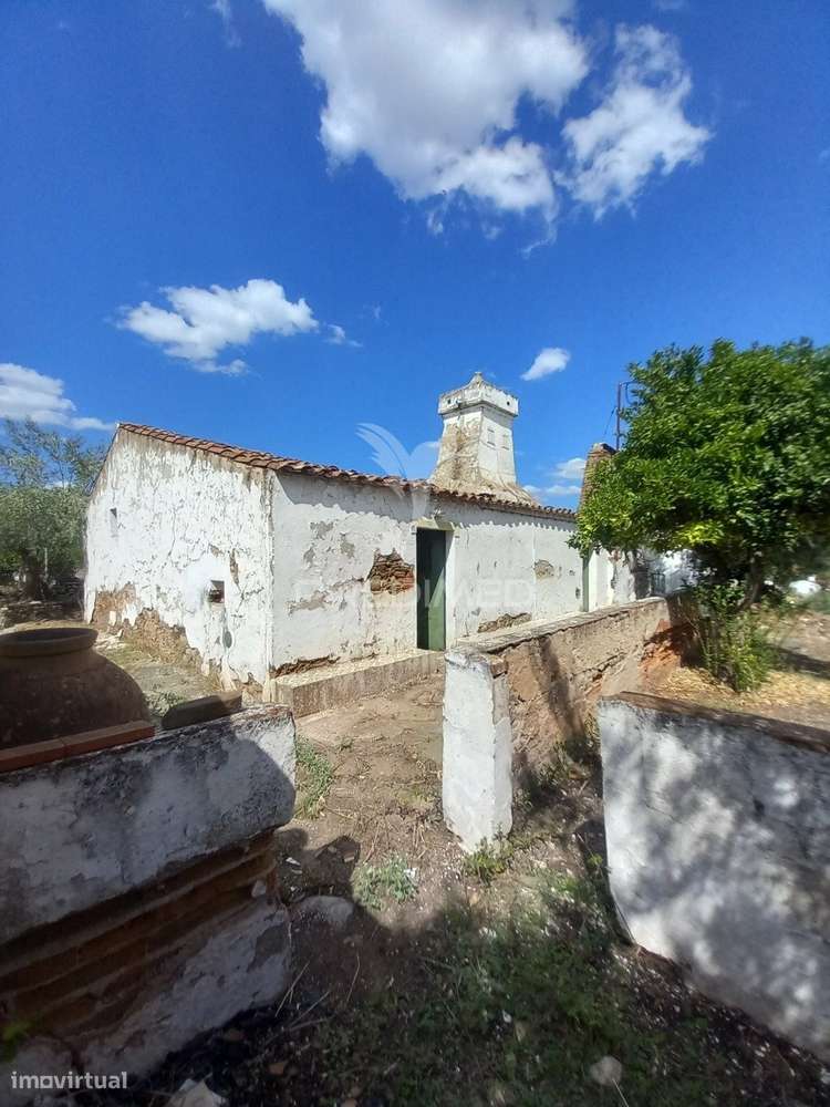 CASA TERREA PARA REABILITAÇÂO - Grande imagem: 2/20