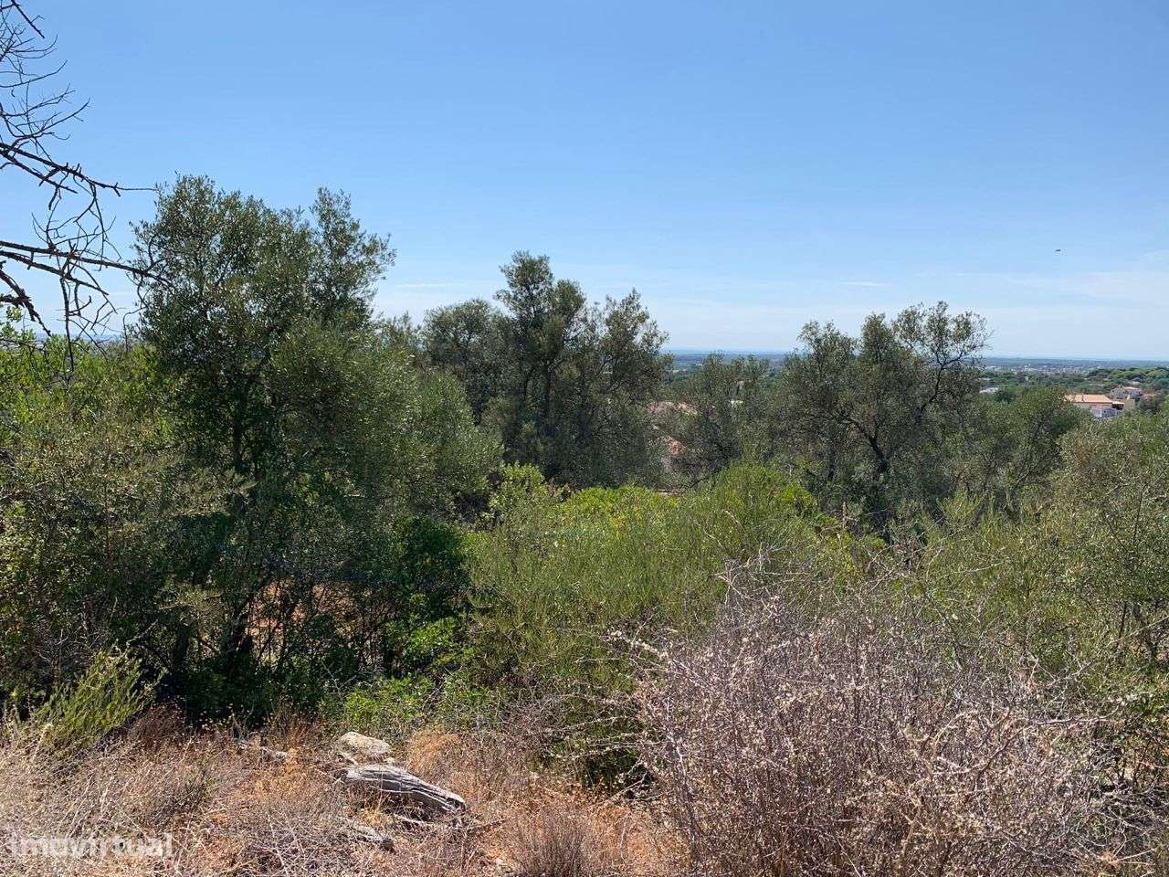 Terreno Urbano, com 3 artigos, Colmeal-19