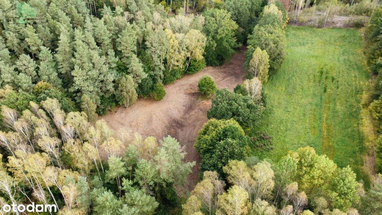 Duża działka siedliskowa 4600 m2 Strzebielino Wyb.-8