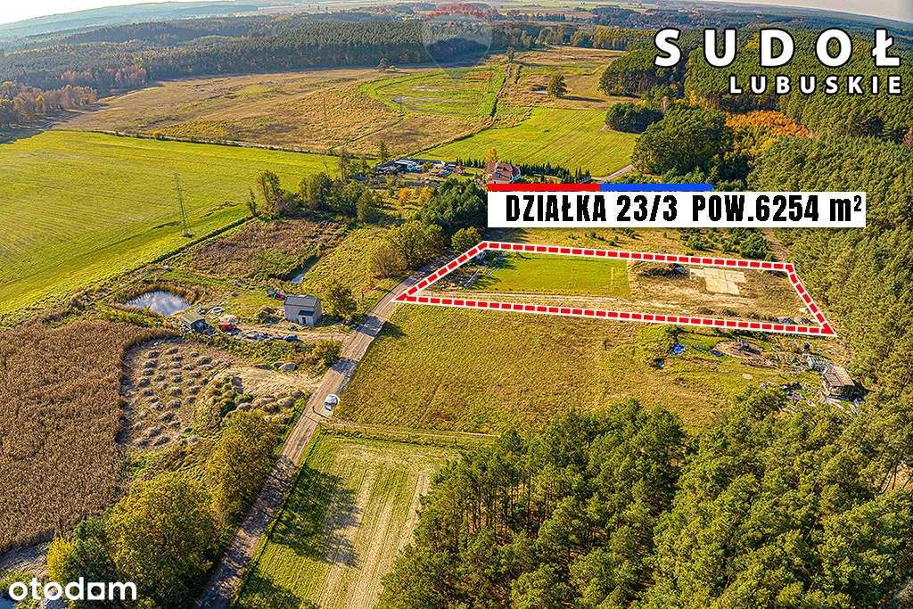 Bajeczna działka pod lasem z rozpoczętą budową! - Pełny obrazek: 5/17