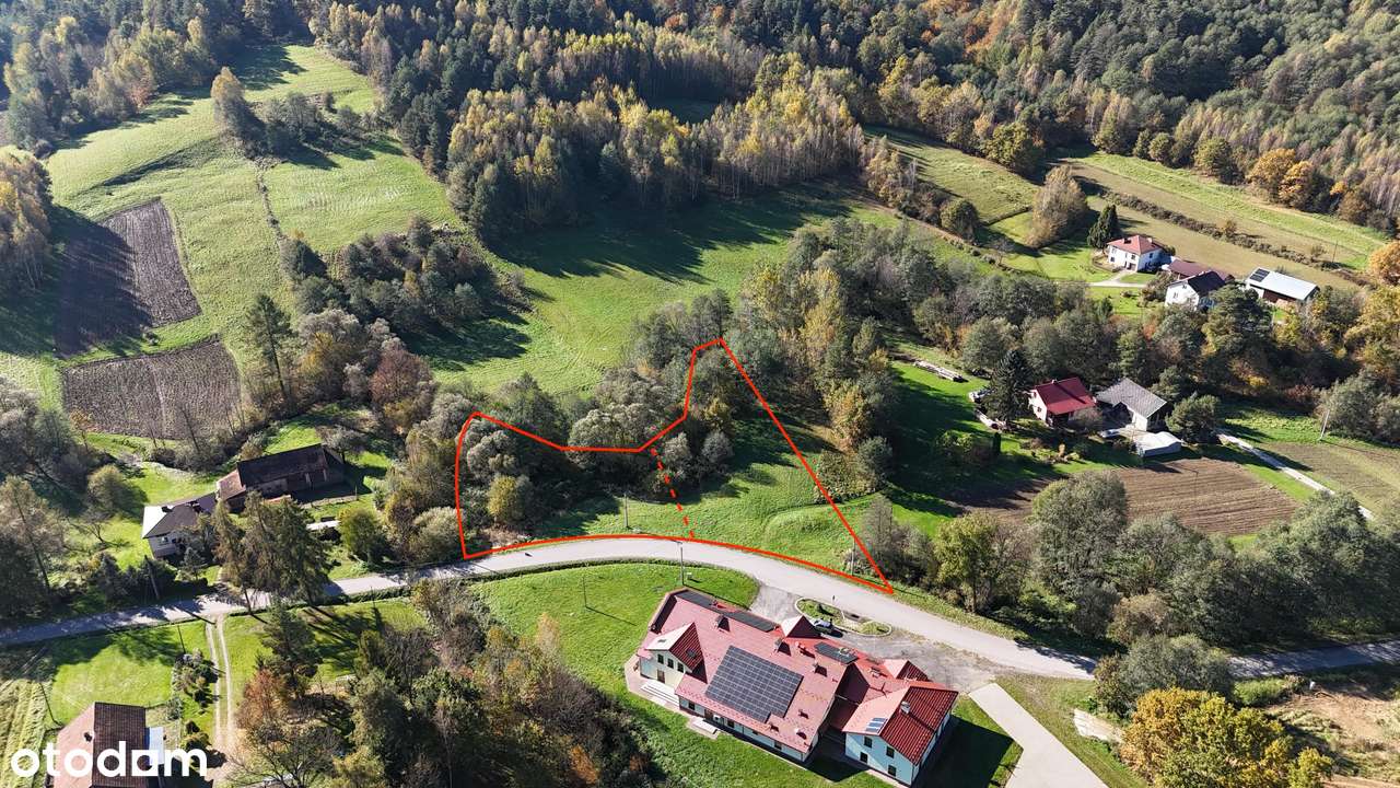 Pietrusza Wola – działka z WZ na 2 domy, media na działce-1