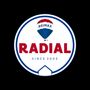 Real Estate agency: Remax Radial