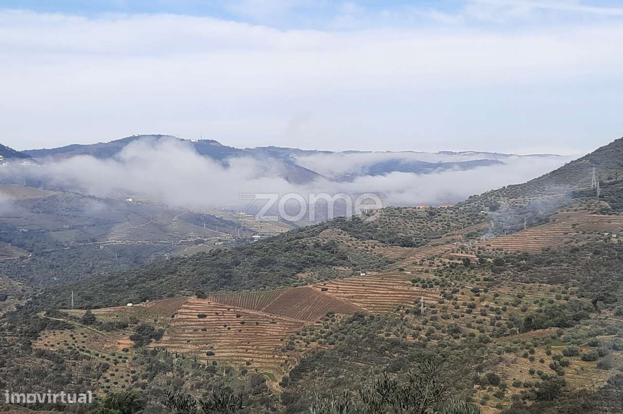 QUINTA EM SANTA LEOCÁDIA, TABUAÇO - Grande imagem: 3/44