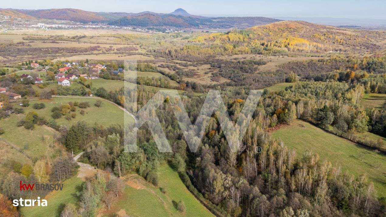 Vanzare teren intravilan 37723 mp Zarnesti Tohanita - Imagine principală: 4/17