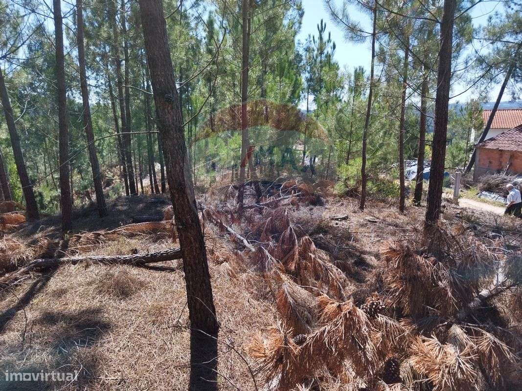 Terreno  para venda - Grande imagem: 4/9