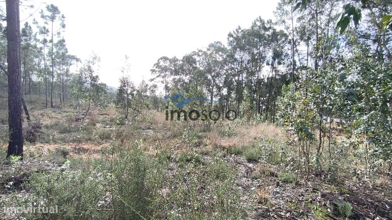 Terreno Rústico com 6350 m² em Zona Industrial-5