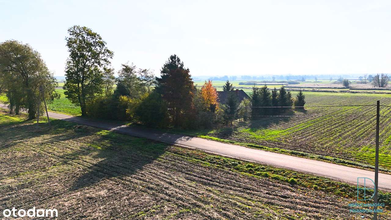 Działka z potencjałem wśród pól i zieleni – Gosławice, 2045 m² - Pełny obrazek: 5/19