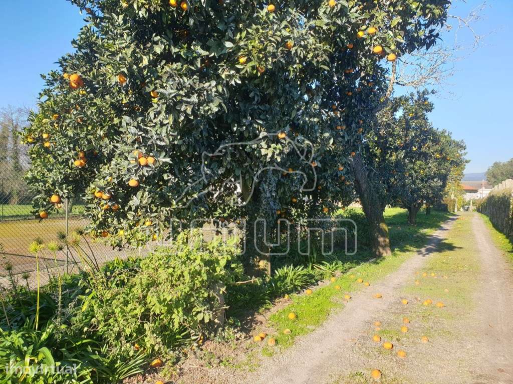 Quinta Brasonada em Vila Franca, Viana do Castelo - Grande imagem: 5/11