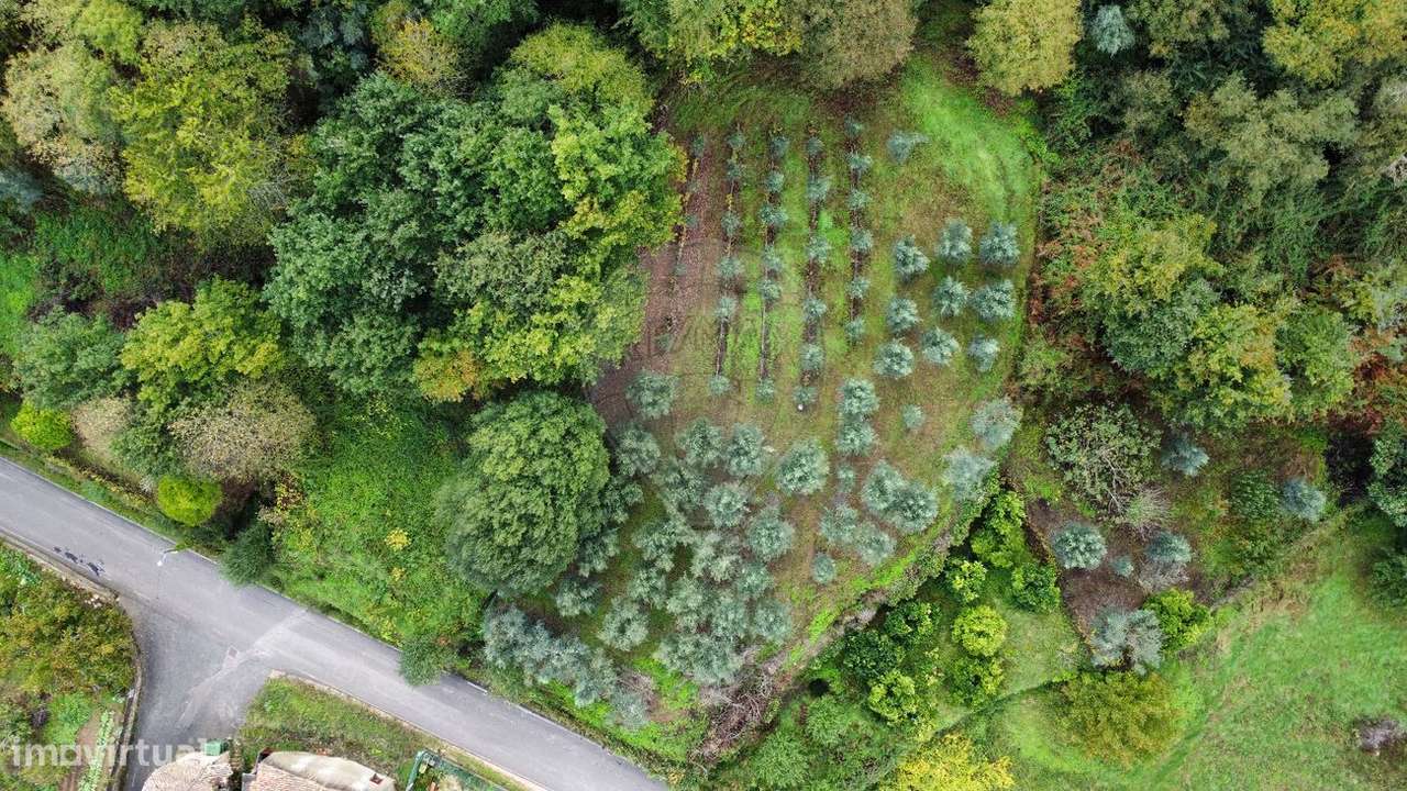 Terreno  para venda - Grande imagem: 5/14