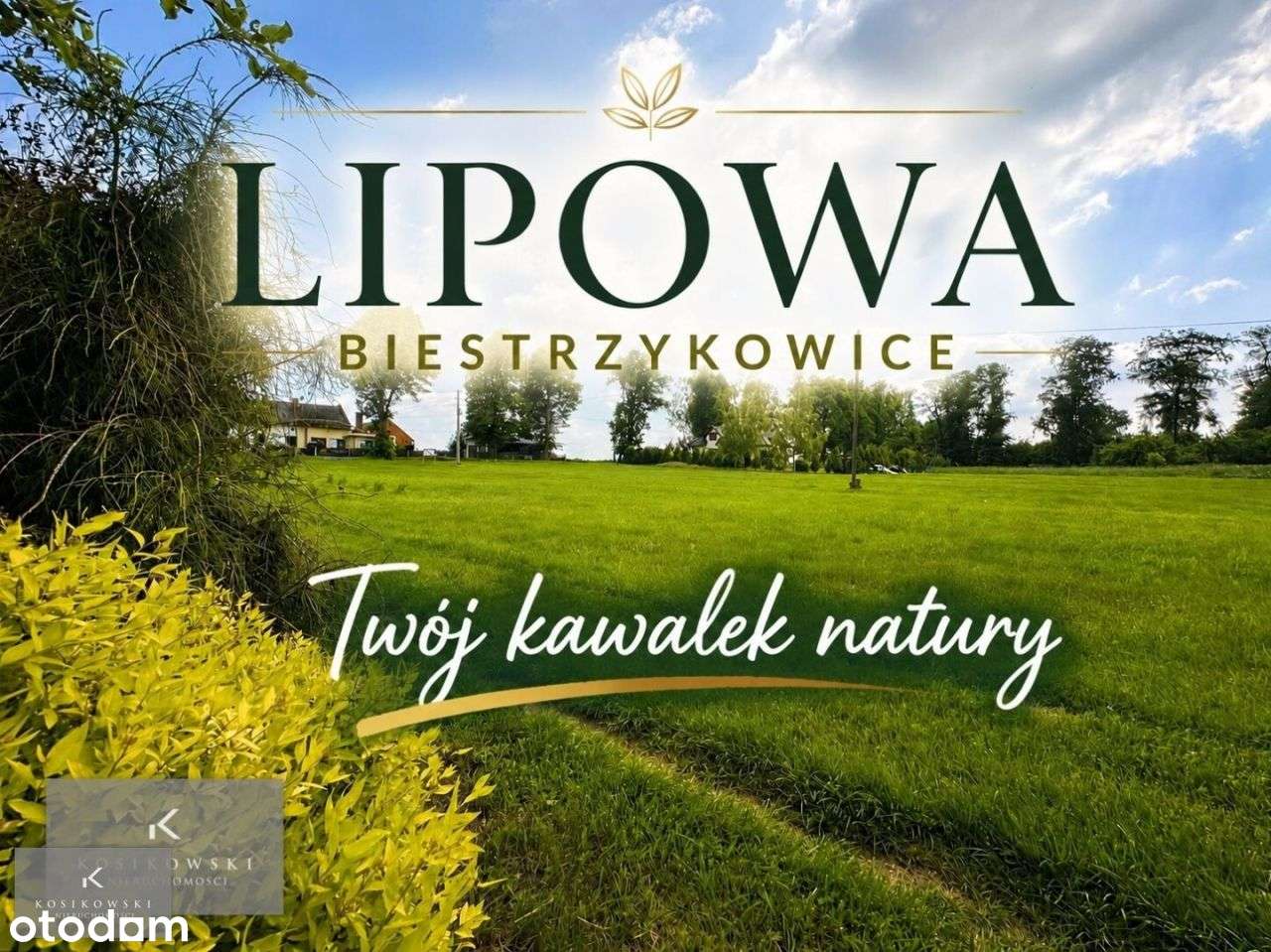 Nieruchomość w Biestrzykowicach 8200 m2
