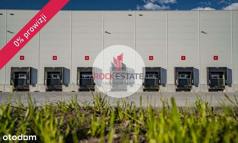 Magazyn w Kobyłce - 3500 m2 ma wynajem - 0% prow. - Pełny obrazek: 4/5