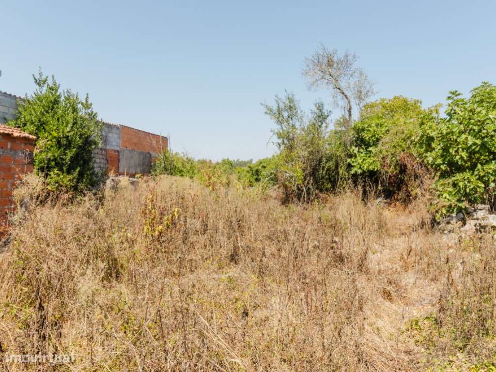 Moradia T3 por recuperar - Grande imagem: 4/13