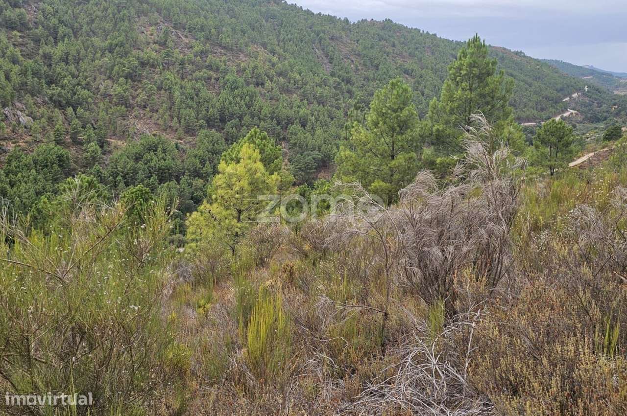 Terreno agrícola com 26.330 m²