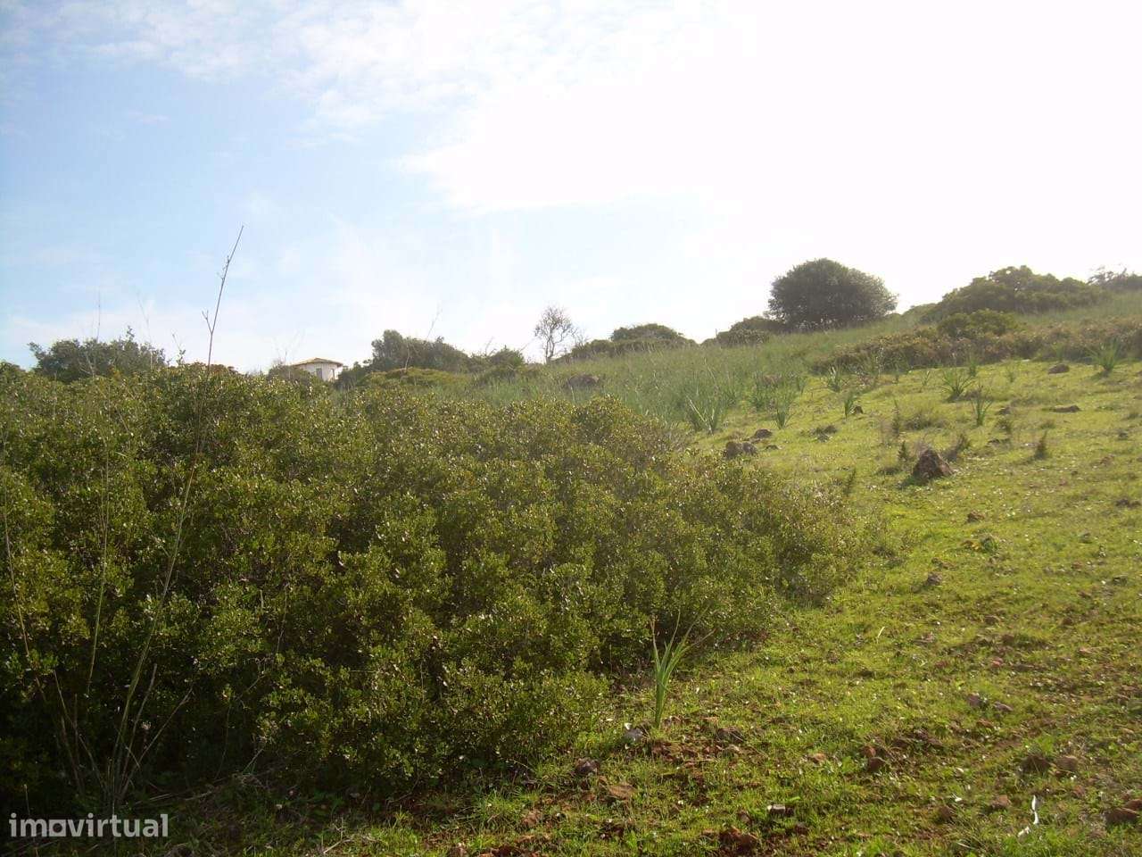 TERRENO RÚSTICO-ALMADENA-LAGOS-ALGARVE - Grande imagem: 4/8