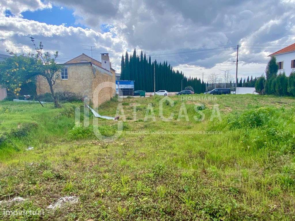 Terreno com Projeto aprovado para venda no centro de Sangalhos - Grande imagem: 5/7