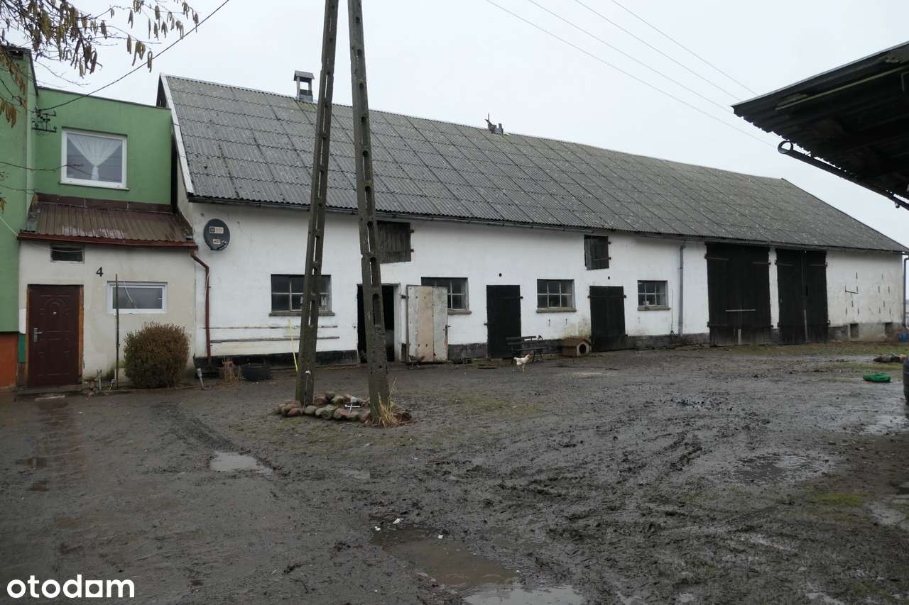 Siedlisko z potencjałem | 5 km od plaży | Łaszka k. Sztutowa-12