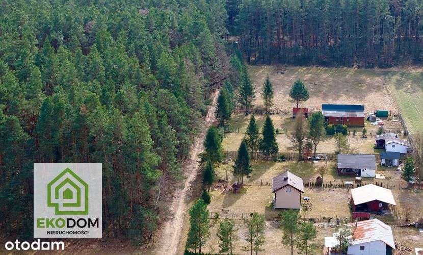 Dwie malownicze  działki pod lasem 1017 i 1957 m2 / Panoszów-11