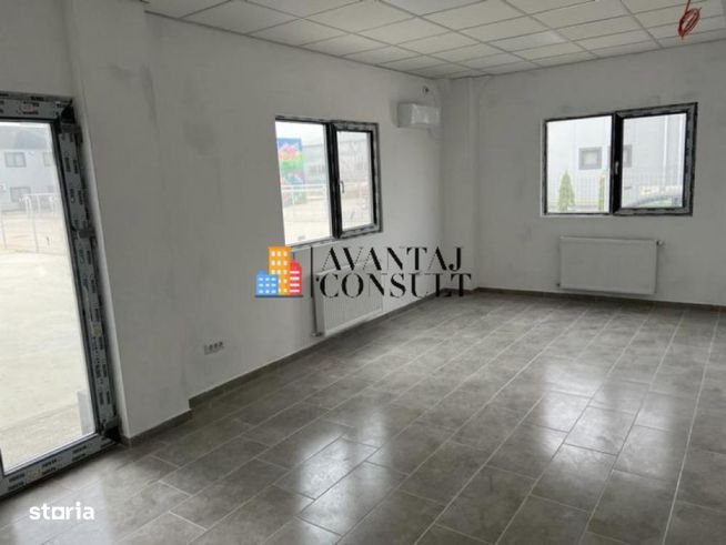 Domnesti Vanzare hala noua-1