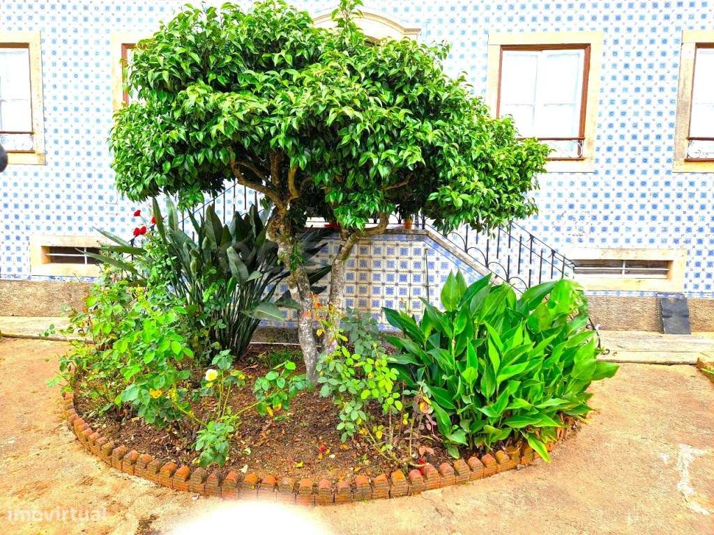 Fantástica Quinta Senhorial em Ferreira do Zezere - Grande imagem: 4/60