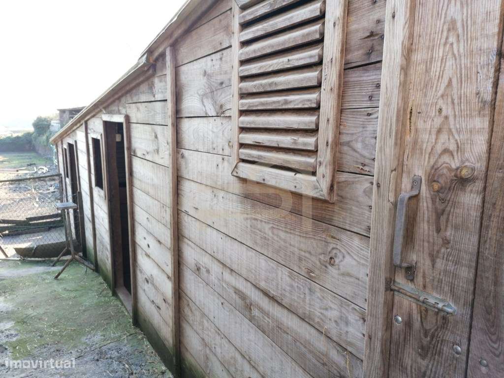 Terreno com 2.430 m² e Ruína em Ribeirão-14