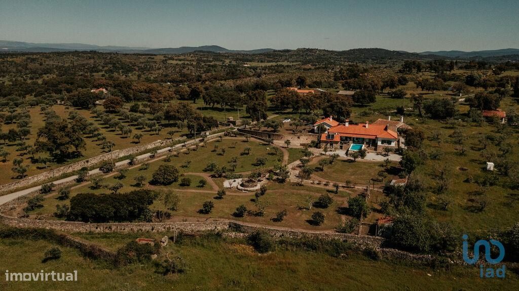 Quinta T6 em Idanha-a-Nova e Alcafozes de 474,00 m2 - Grande imagem: 1/30