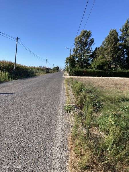 Terreno perfeito para mudar a sua vida para o campo! - Grande imagem: 5/6