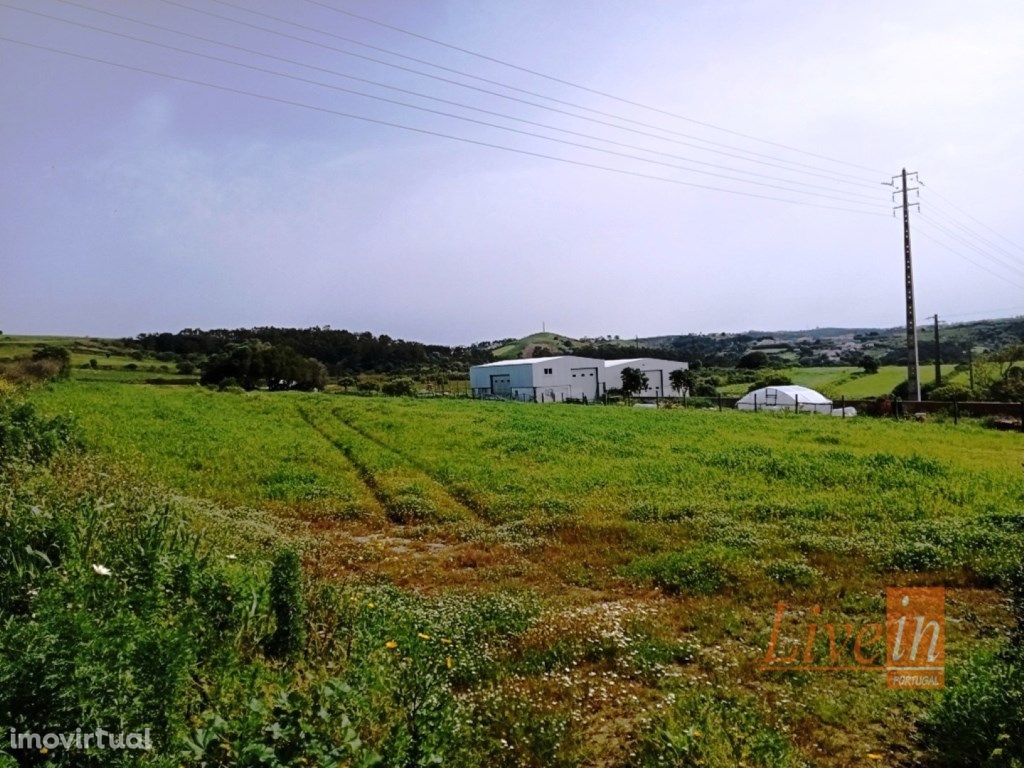 Terreno Agrícola em Ótima Localização com 3187 m2 em Sant...