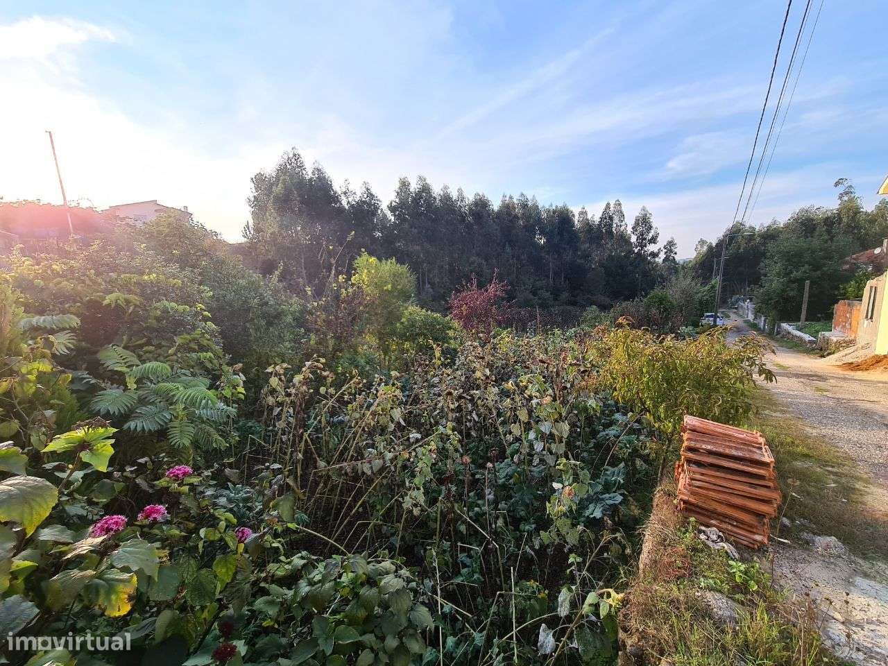 Terreno com Viabilidade de Construção de Moradias-8