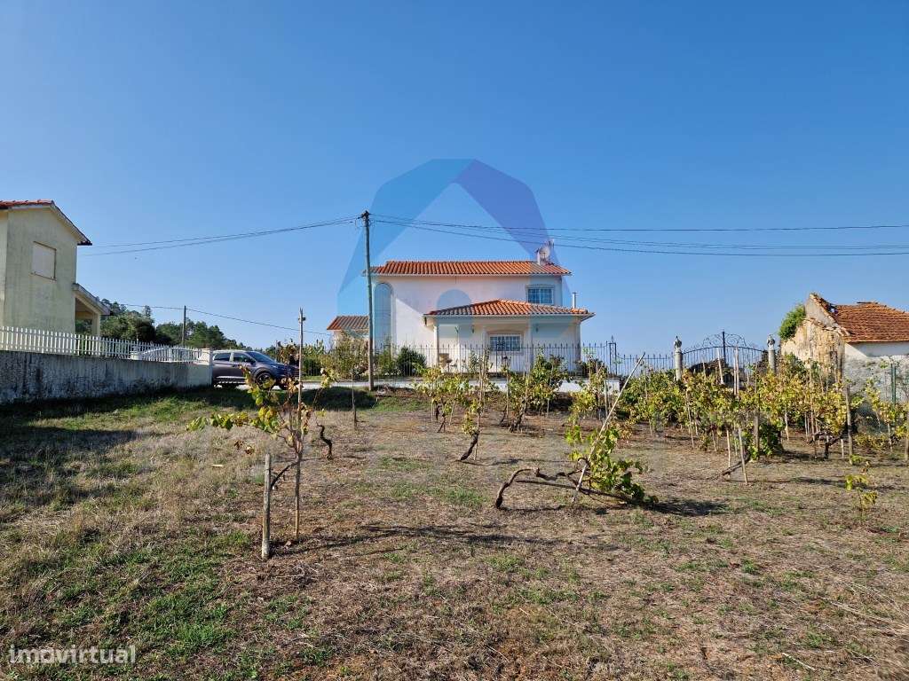 Terreno com Viabilidade de Construção - Pombal-8