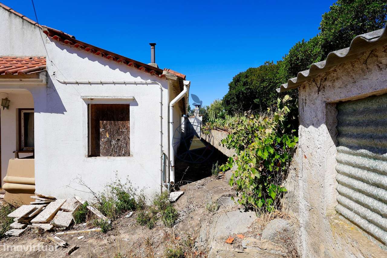 Quinta com Vista Mar, Água em Abundância e Privacidade — Rincovo Palme-36