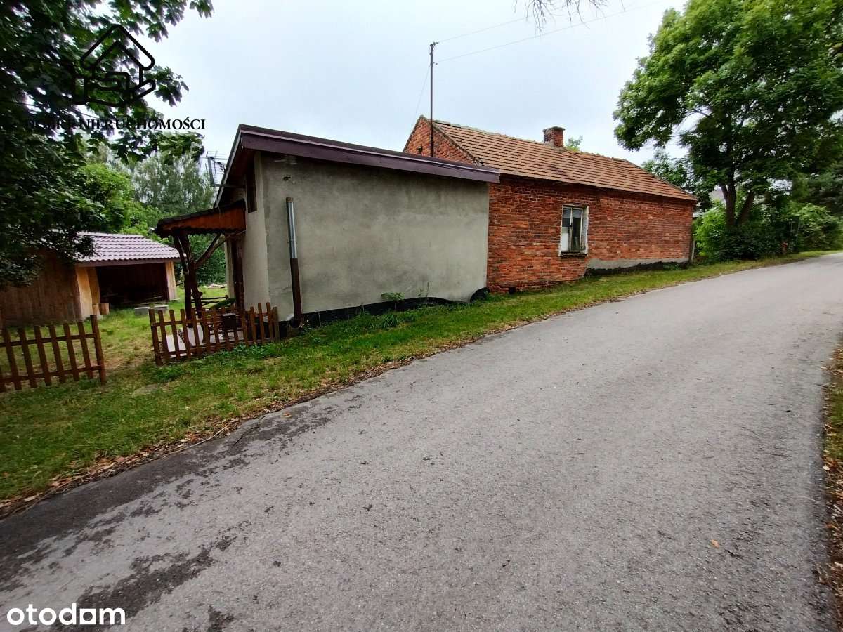 Siedlisko na działce 29 arów - Lisów gm. Lubartów - Pełny obrazek: 4/9