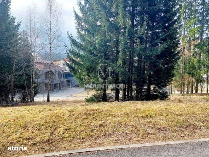 Teren intravilan în Poiana Brașov, strada Poiana Ruia - Imagine principală: 3/6
