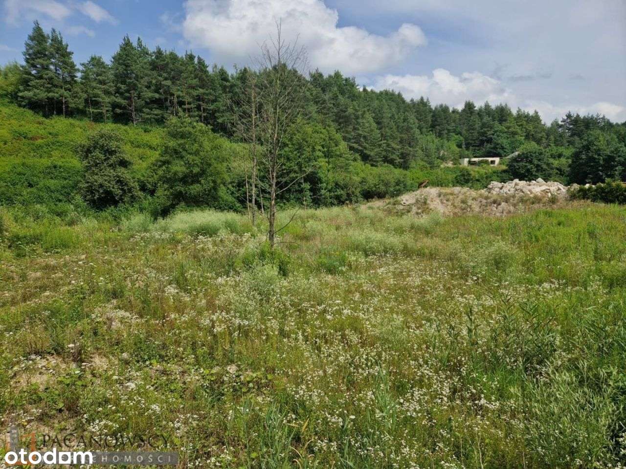 Działka, 2 600 m², Maszków - Pełny obrazek: 4/6