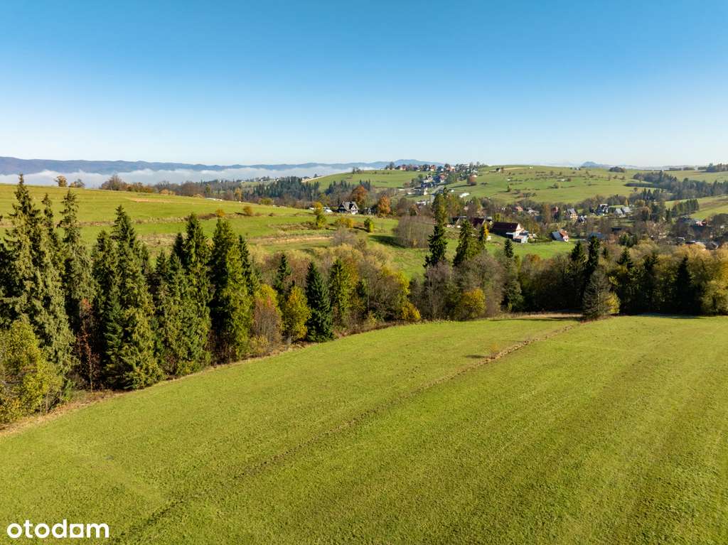 13/18284/OGS - Pełny obrazek: 5/5