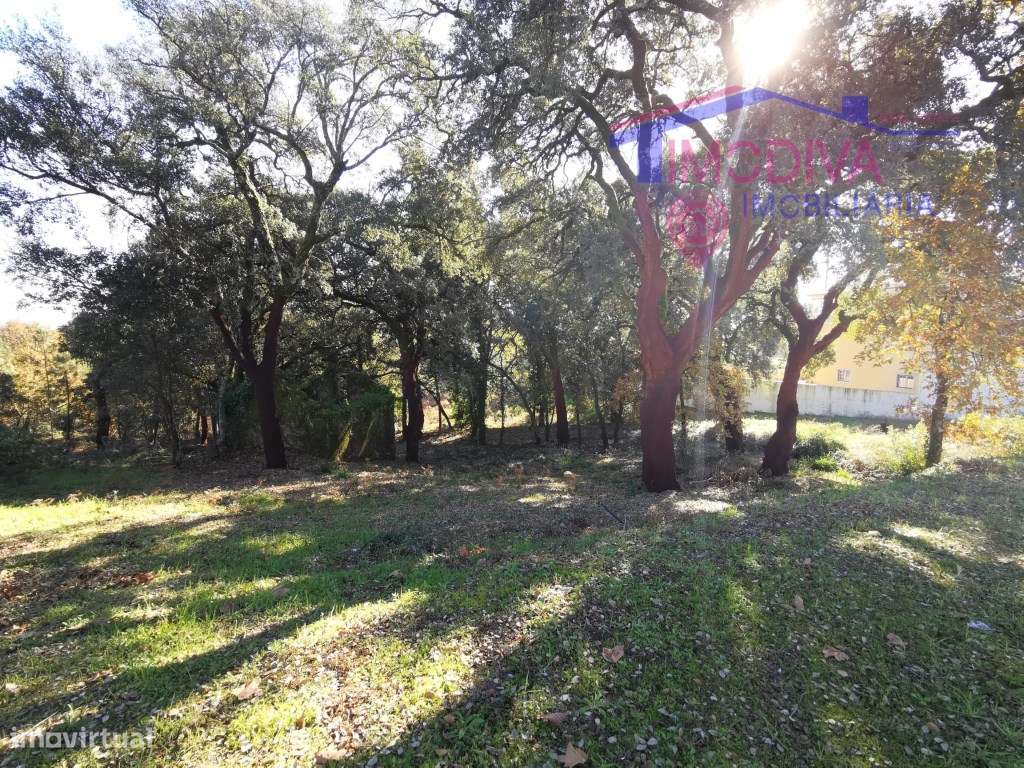 Terreno com 19408m2, com possibilidade de construção em Figueiró do... - Grande imagem: 1/17