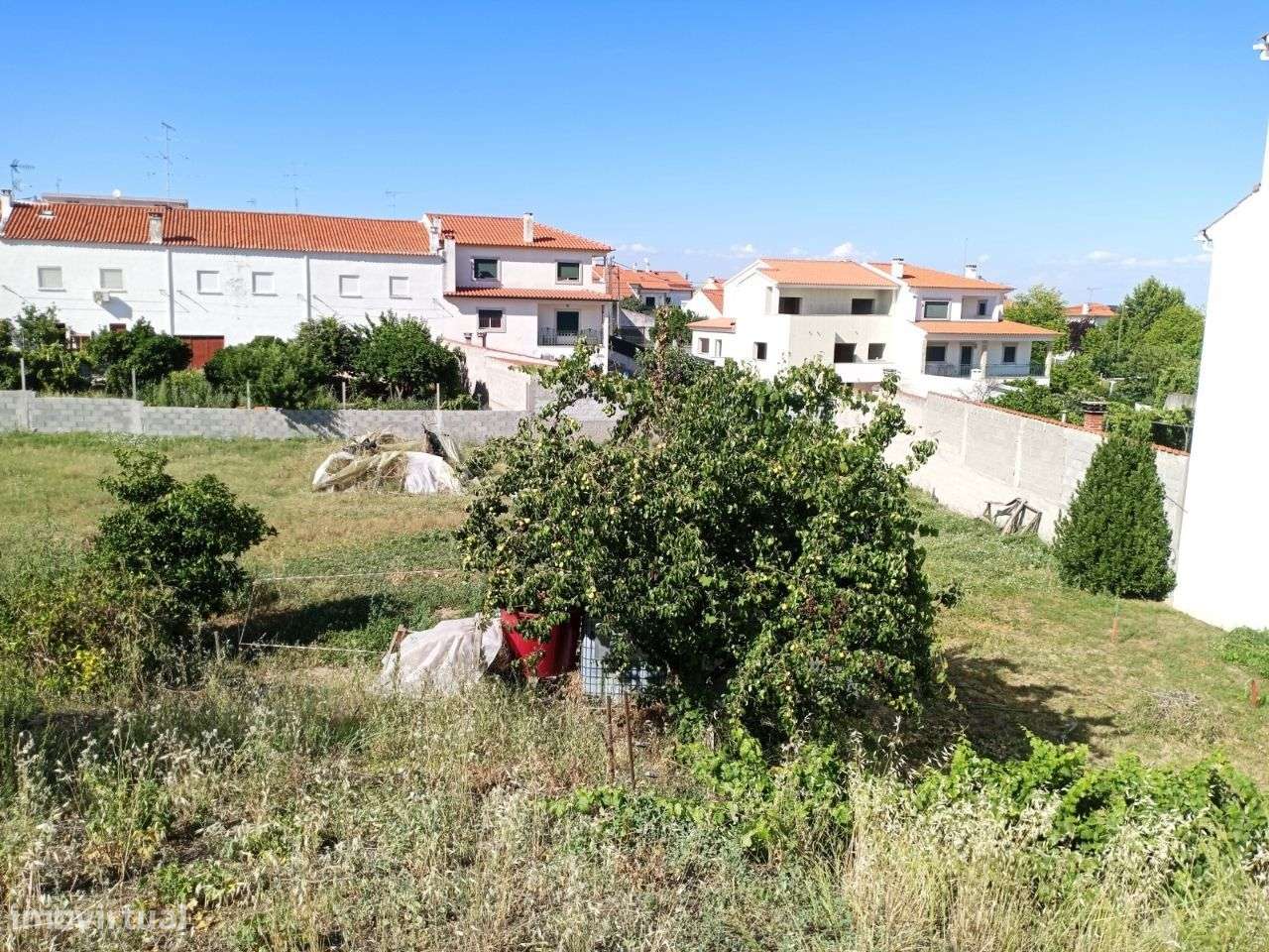 Lote - Grande imagem: 3/3