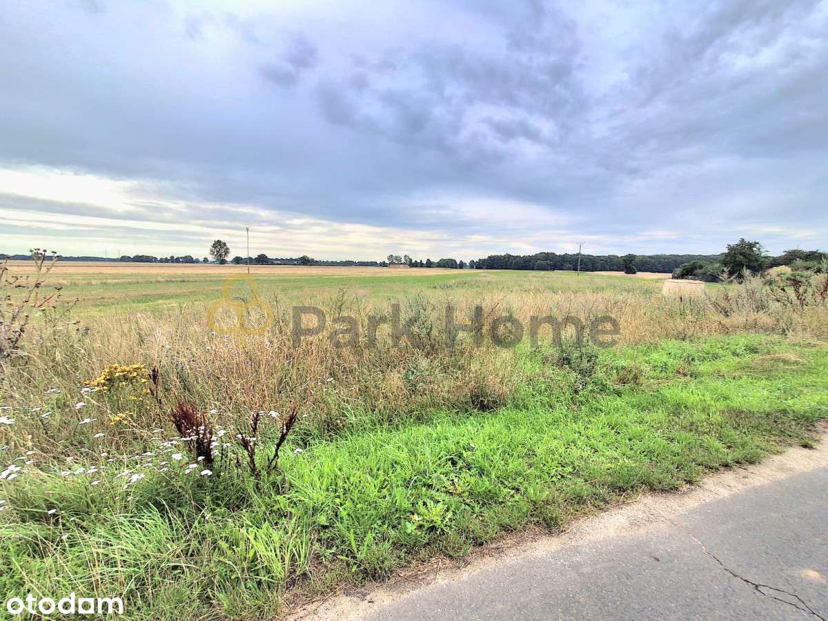 Działka 30 arowa, Droglowice - Pełny obrazek: 1/6