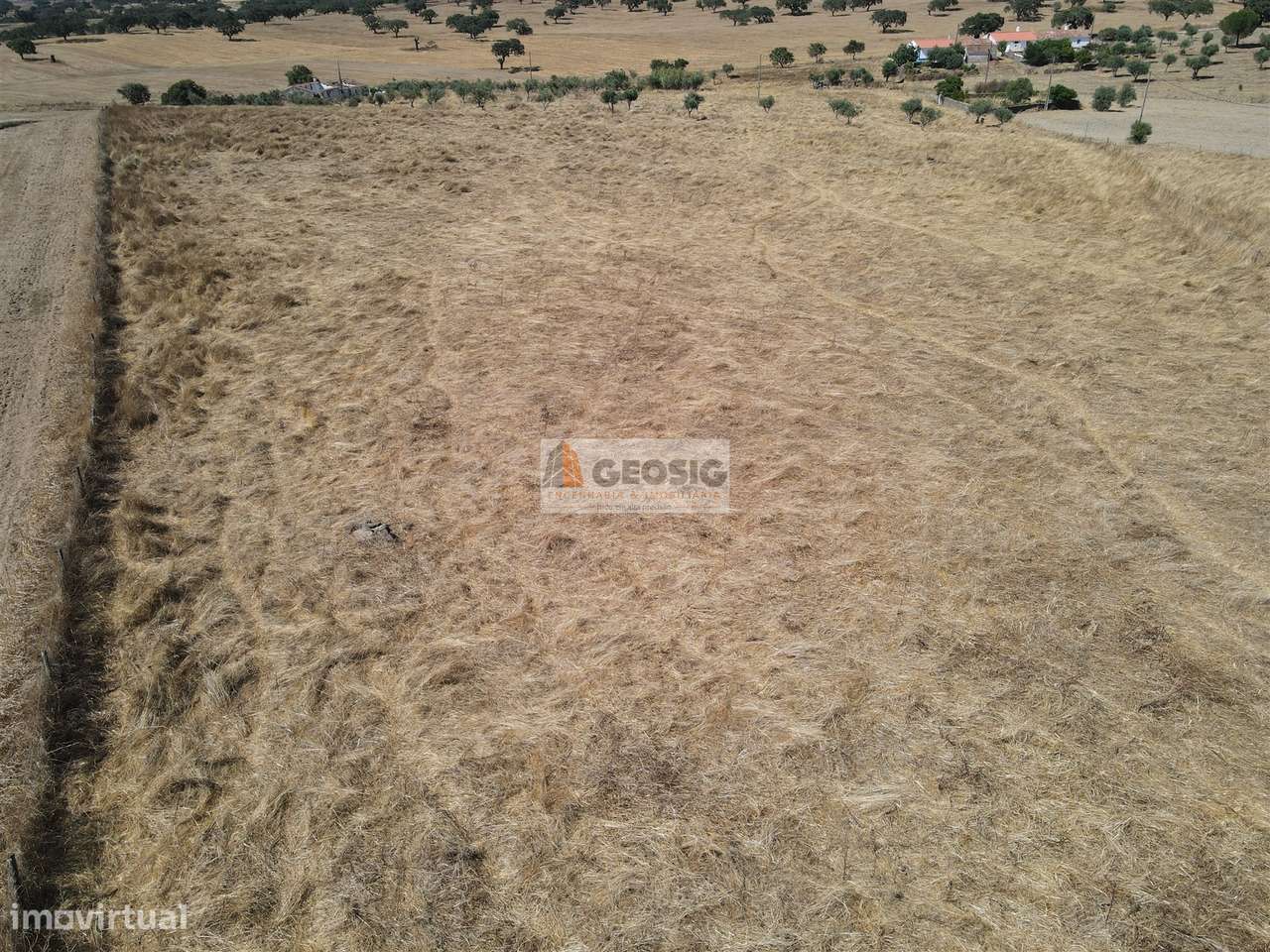 Quintinha T4 Venda em Ourique,Ourique-24