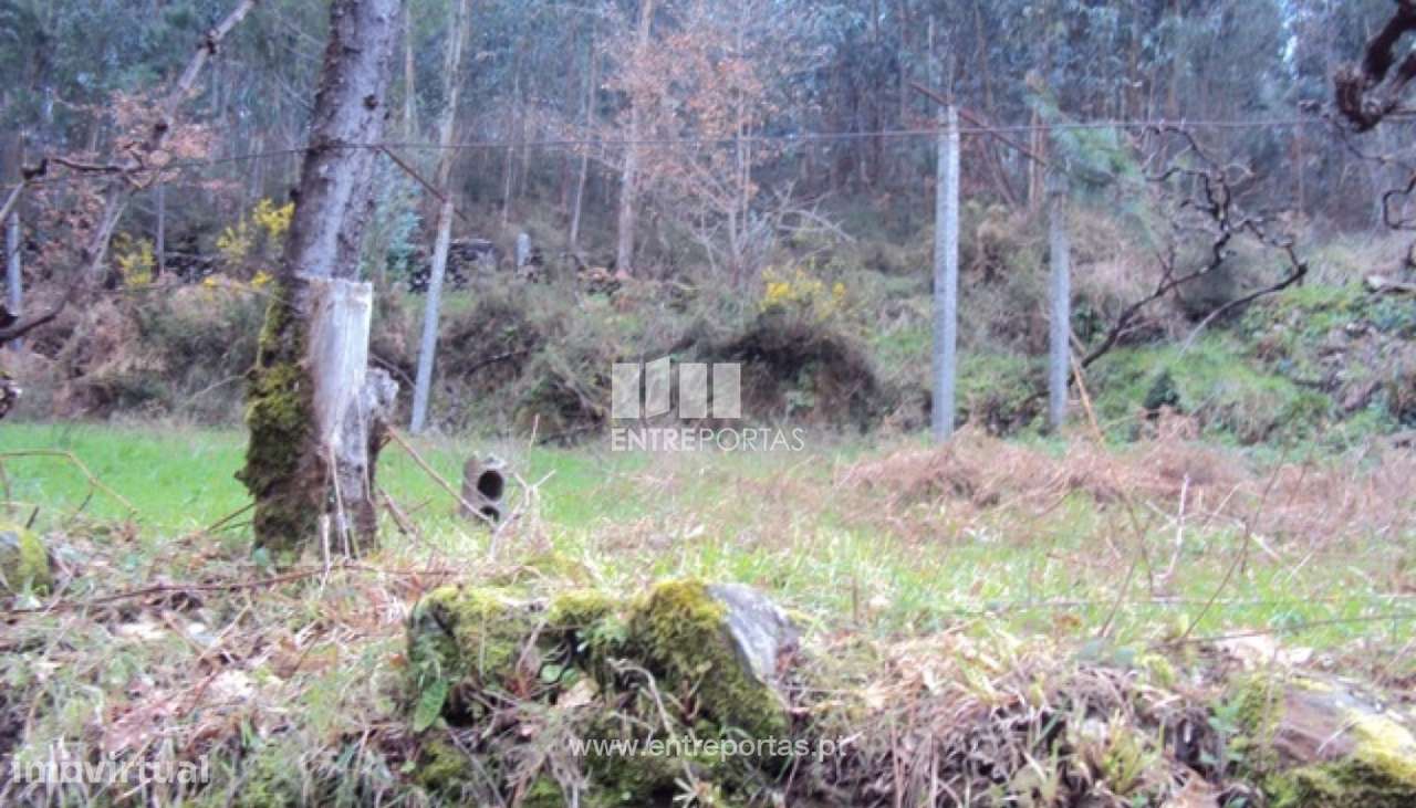 Venda Terreno, Nespereira, Cinfães - Grande imagem: 3/30