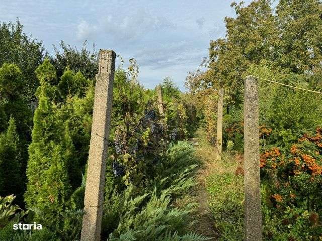 Casa 3 camere,teren 928 mp, Zona Unirii - Imagine principală: 3/10