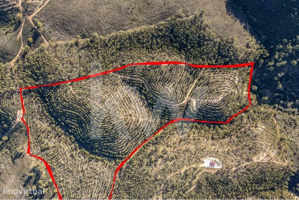 Terreno Rústico com 128 875 m2 em Aljezur