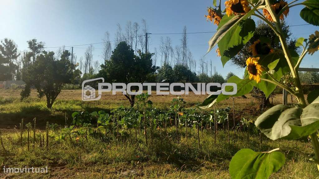 Terreno Urbano Assilhó - 1.268m2 - Grande imagem: 2/4